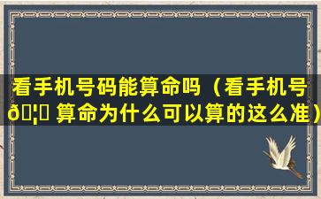 看手机号码能算命吗（看手机号 🦉 算命为什么可以算的这么准）